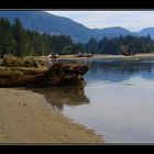 Port Renfrew