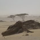 Port Sudan im Sandsturm