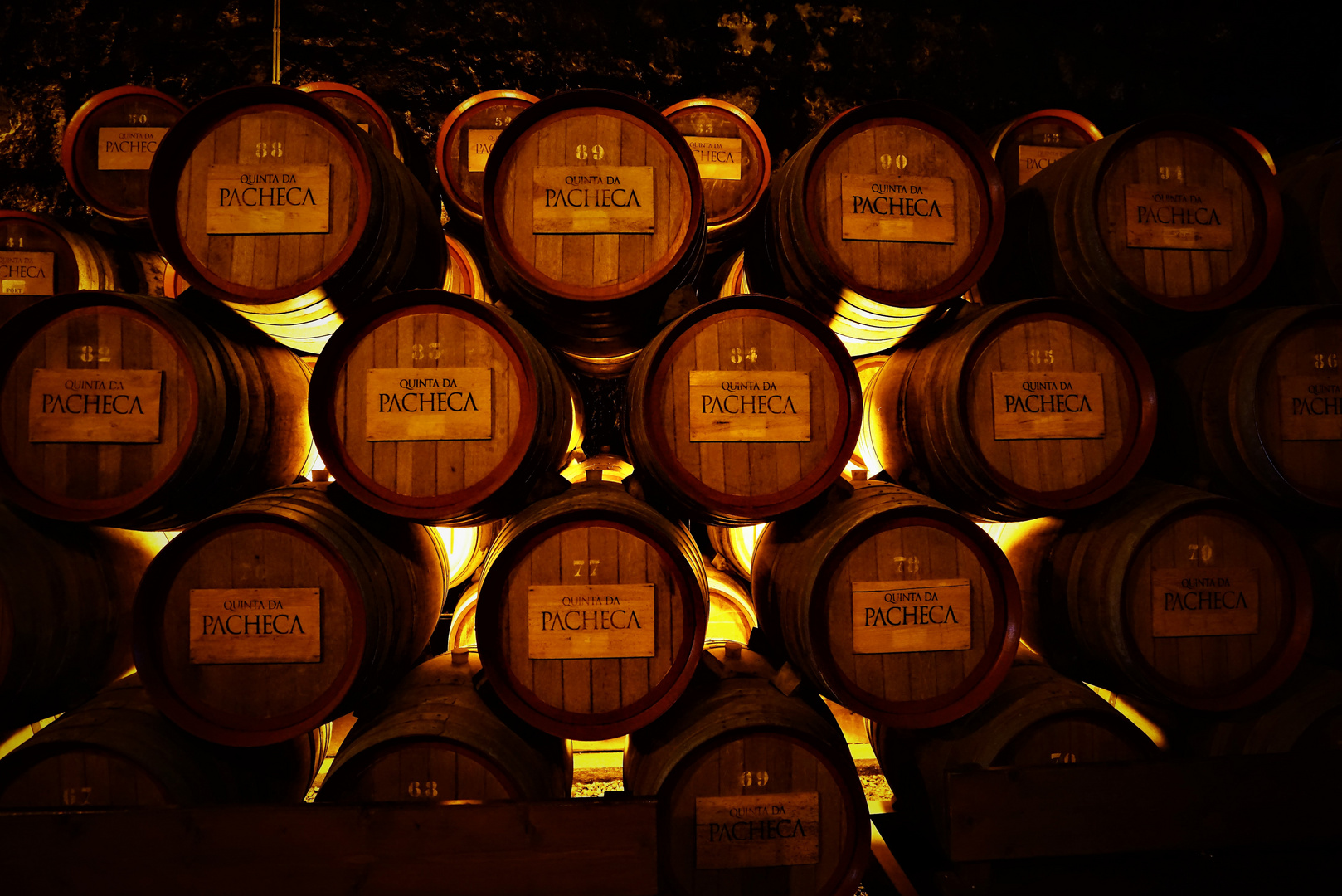 Port wine barrels