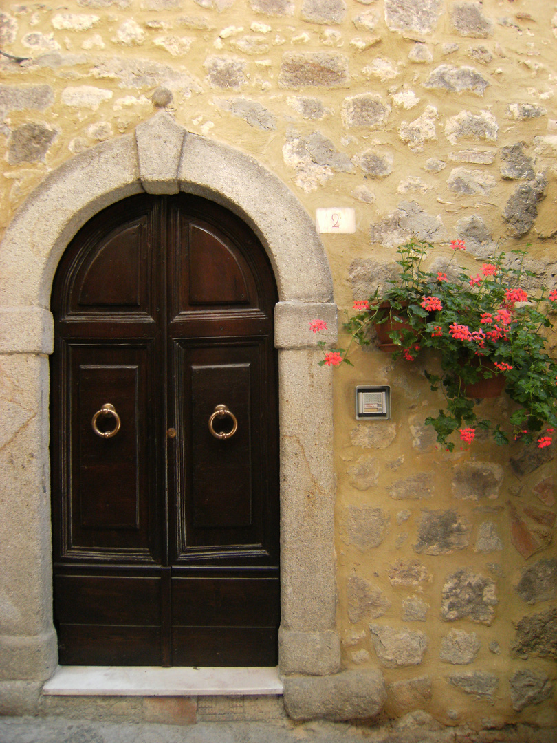 Porta e fiori