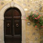 Porta e fiori