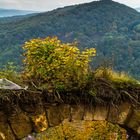 Porta Westfalica im Herbst