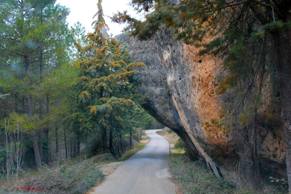 Portal de la naturaleza