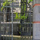 Portal zum Domfriedhof_Kölner Dom