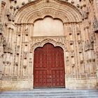 portalon de la catedral Salamanca