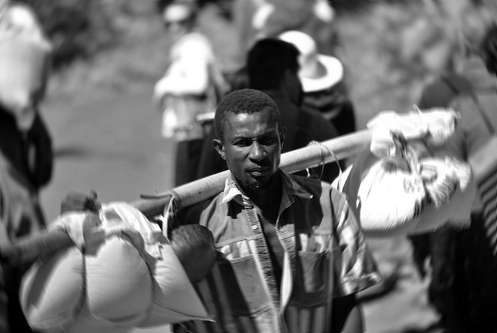 Portatore di riso in Madagascar