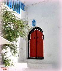 Porte à Sidi Bou Said