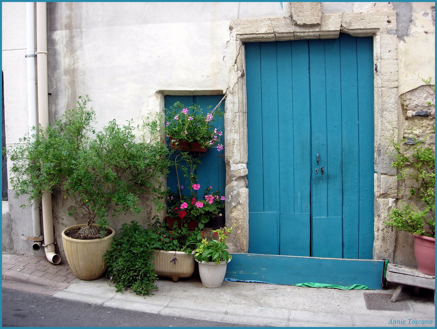 Porte bleue......