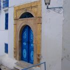 Porte de Sidi Bou Saïd 