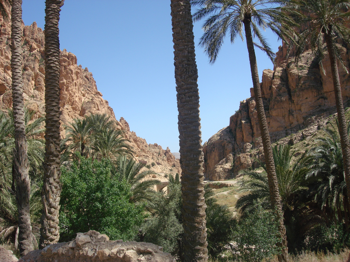 Porte du sahara