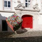 porte rouge et cube de fleurs