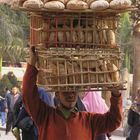 Porteur de notre pain quotidien