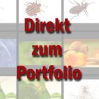 Portfolio Ravensburg