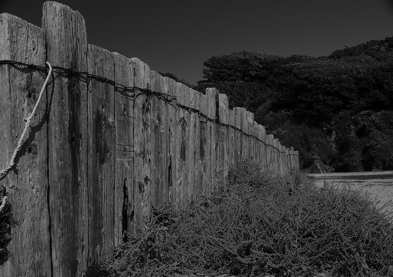 Porthluney Cove