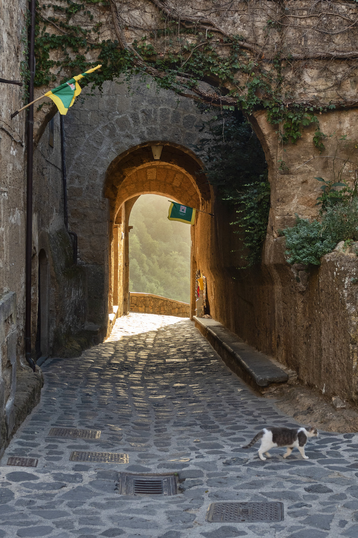 Portico di ingresso, civita di Bagnoregio