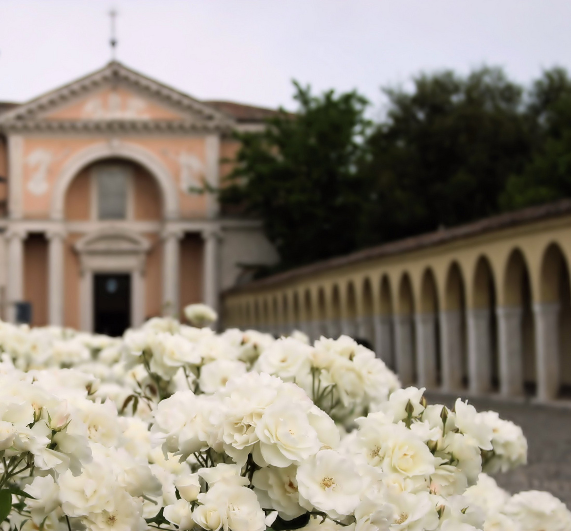 portico e rose