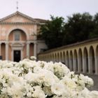 portico e rose