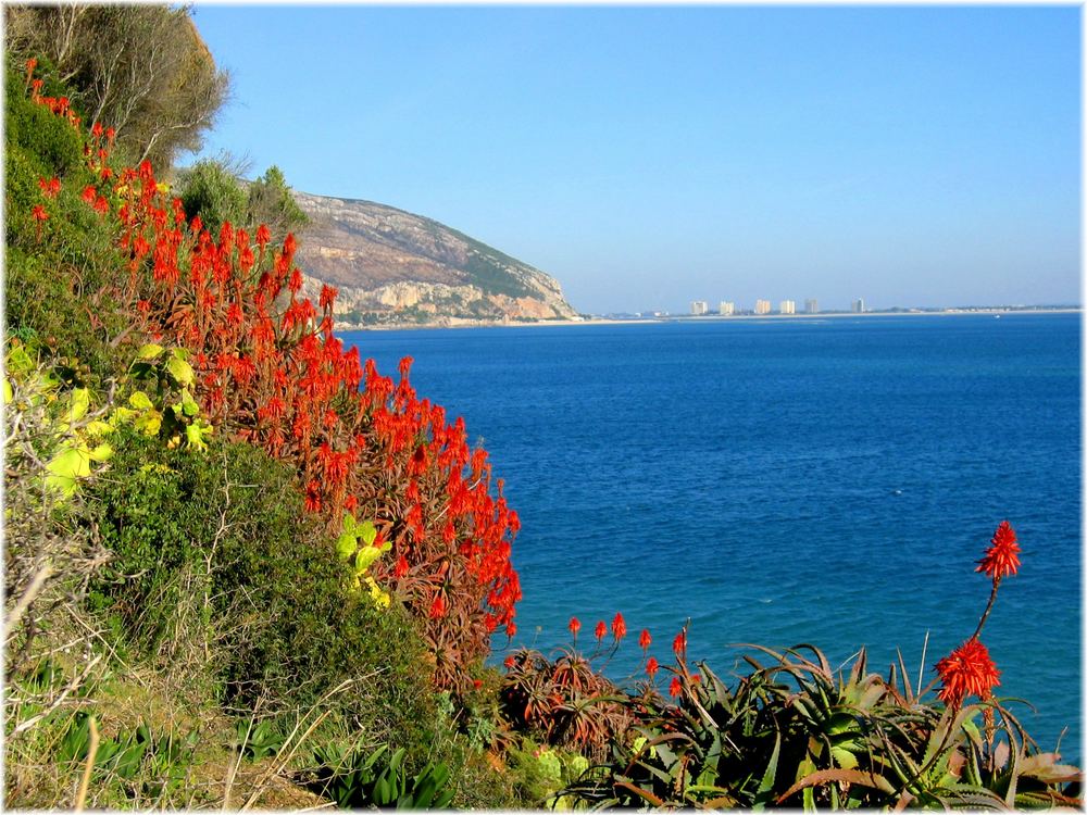 Portinho - Setúbal Portugal