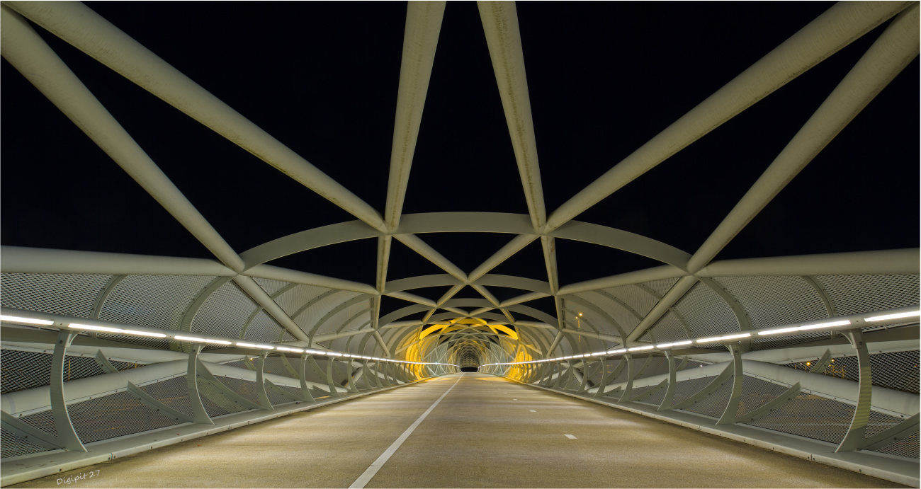 Portlandsebrug Rotterdam 2022-01