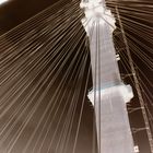 Portmann Bridge - negativ