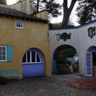 Portmeirion XI