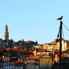 Porto bei Sonnenuntergang-Porto ao Pôr-do-Sol