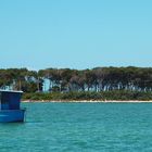 Porto cesareo