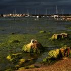 Porto Colom