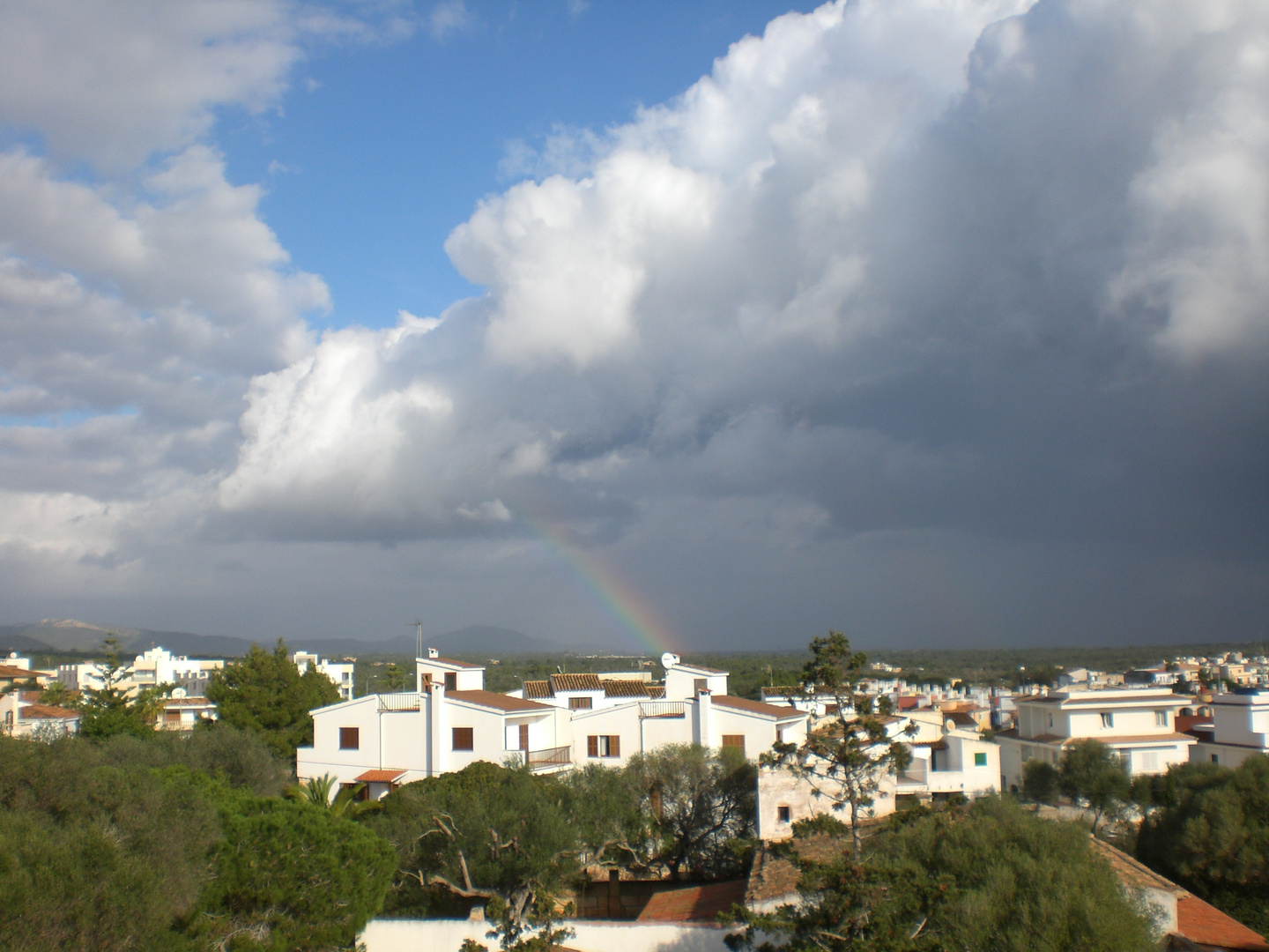 porto colom