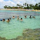 Porto de Galinhas Piscina Natural