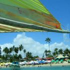 Porto de Galinhas vom Boot aus