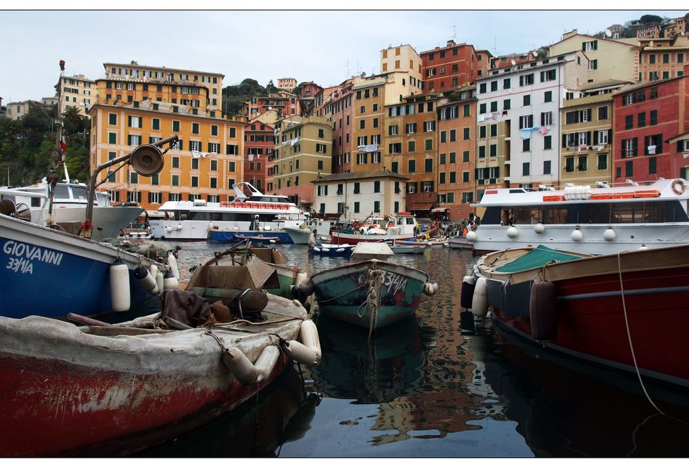 Porto di Camogli