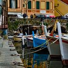 Porto di Camogli