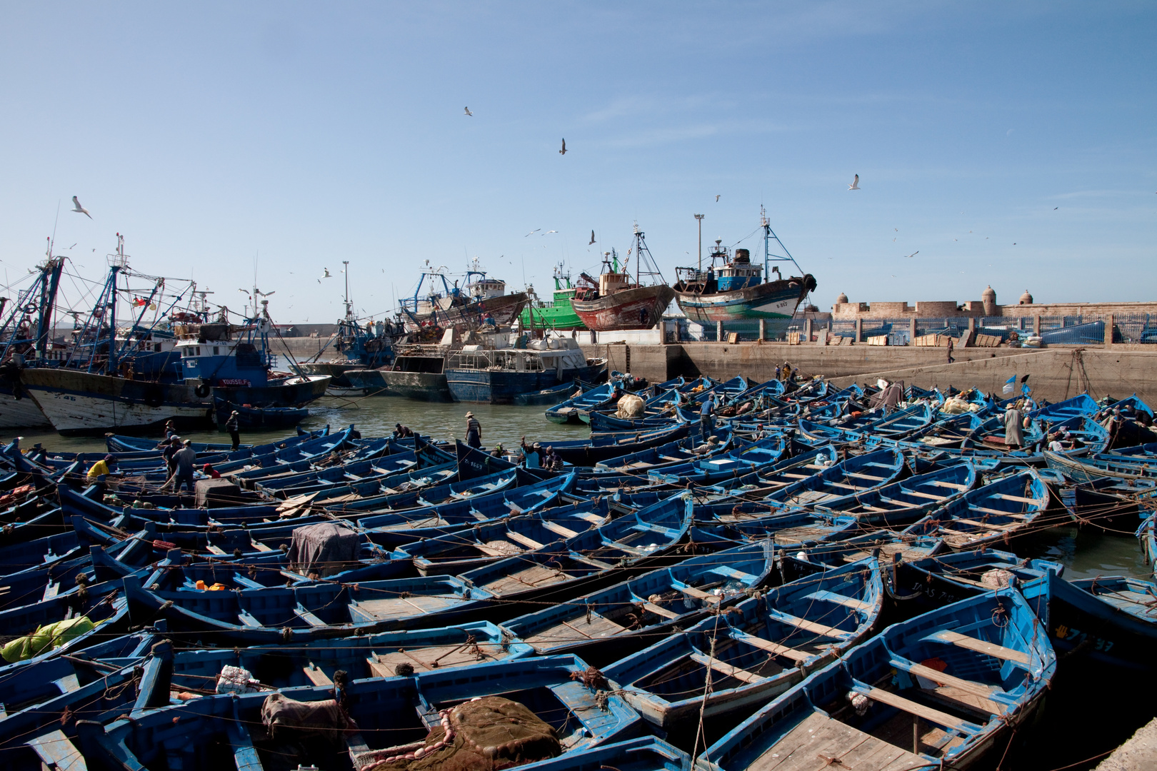 Porto di Essaouira, Marocco