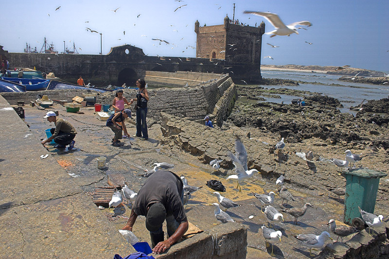 porto di mare