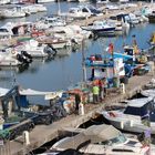 Porto di Nettuno.