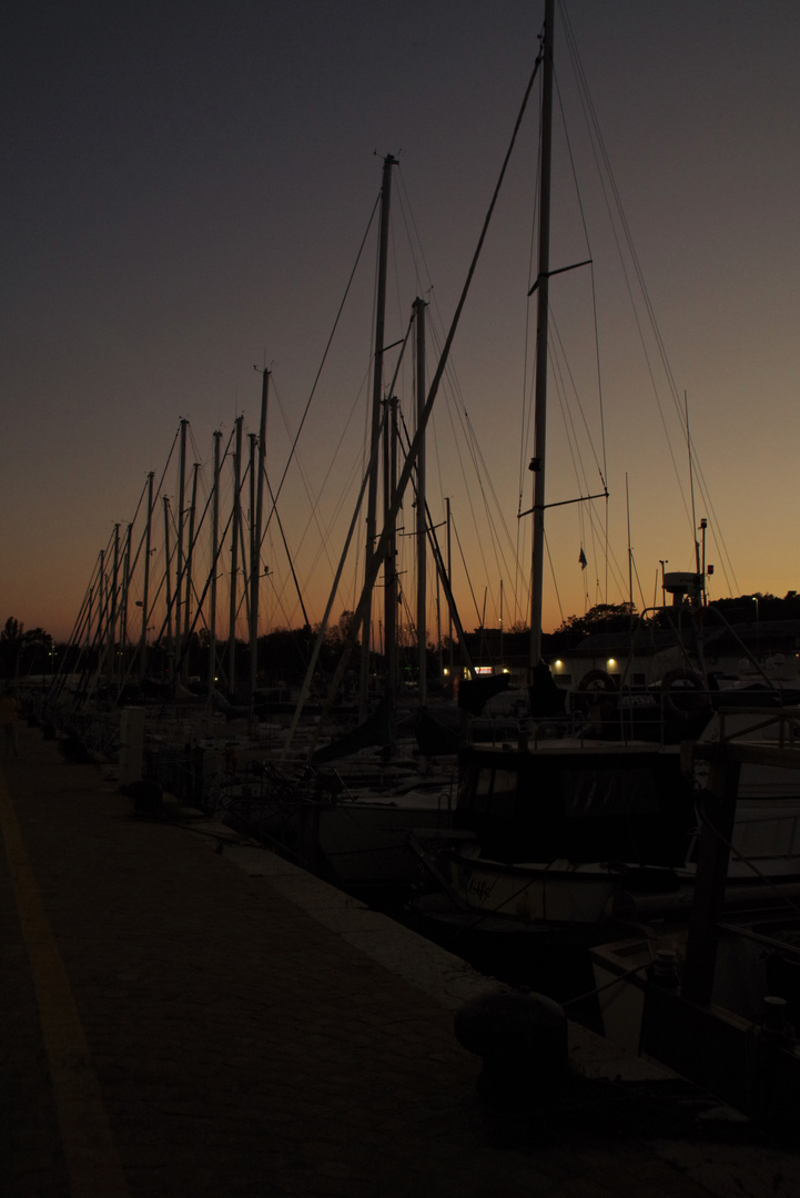 PORTO  DI PESARO