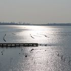 Porto di Taranto