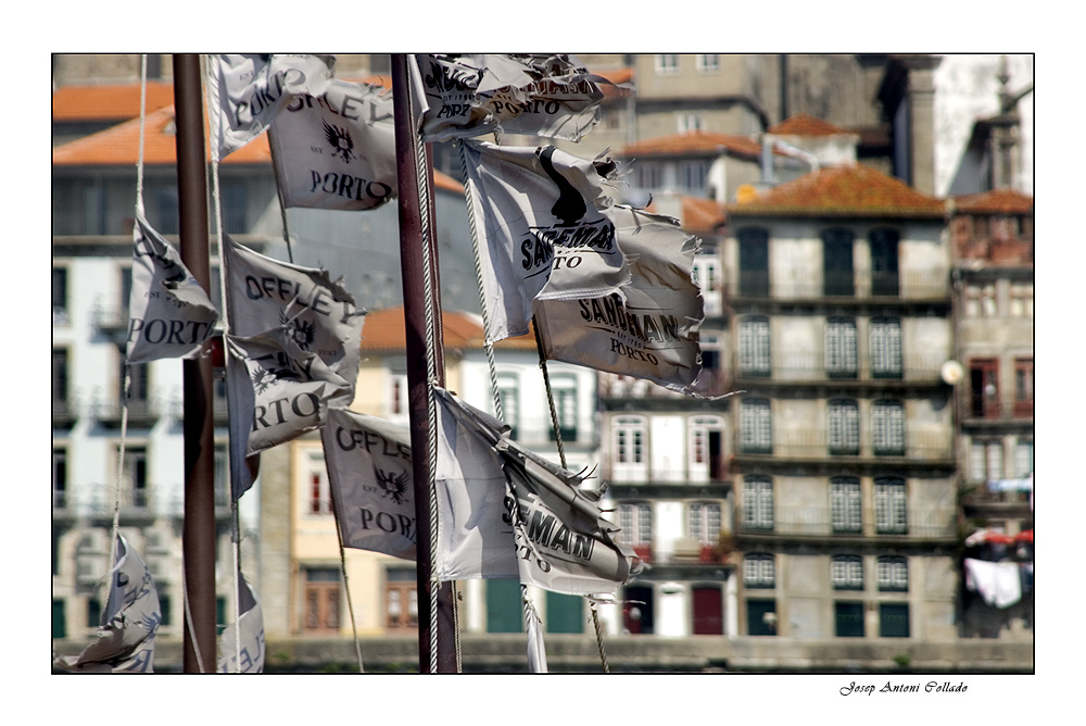 Porto Impressions. Flags