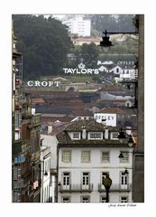 Porto Impressions. Wine caves