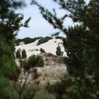 Porto Pino dune di sabbia