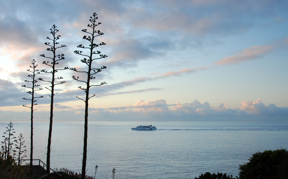 "Porto Santo Ferry"