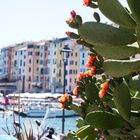 Porto Venere 