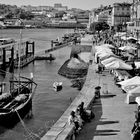 Porto_2019-5475