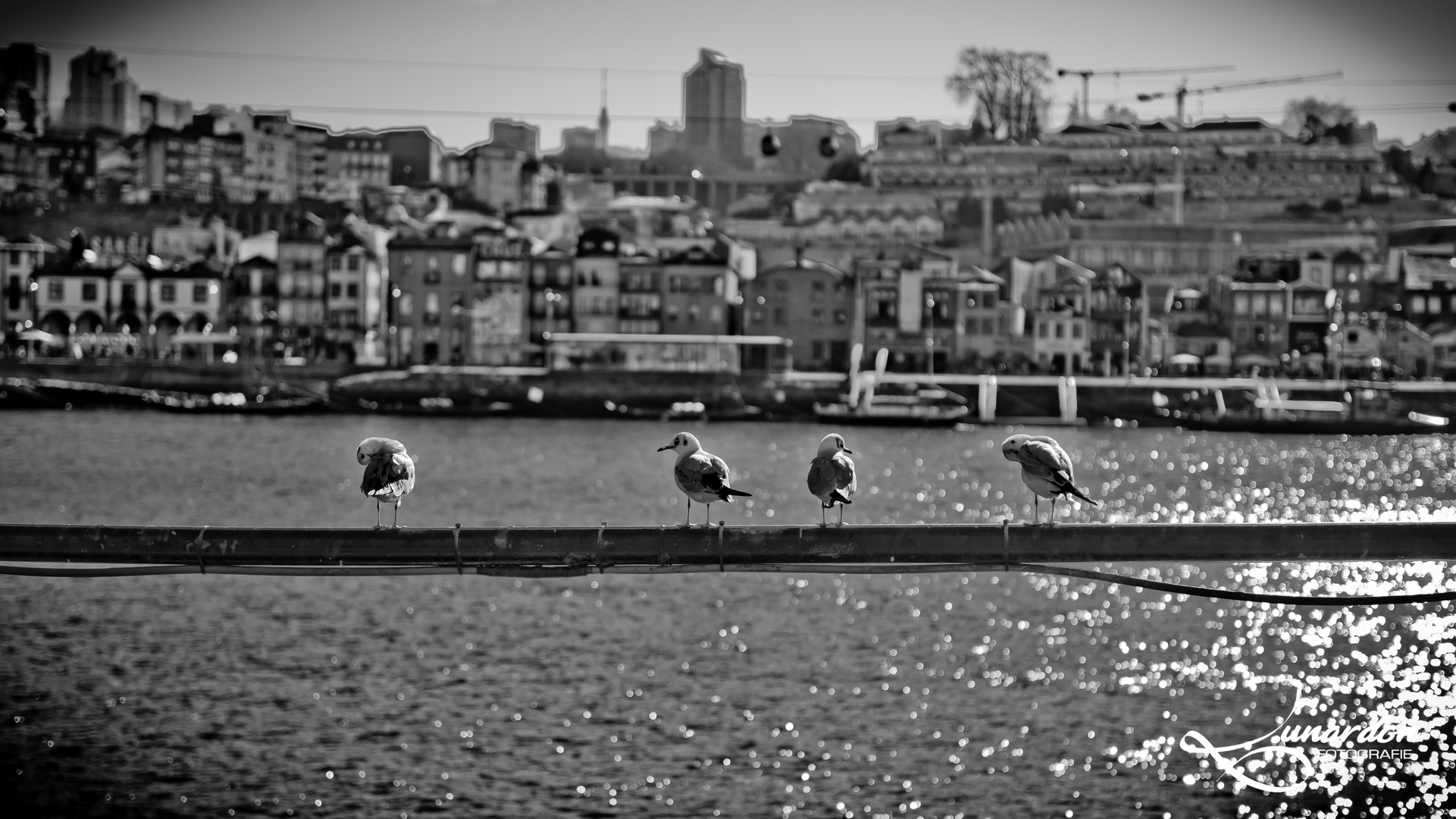 Porto_2019-5489