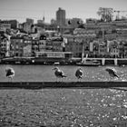 Porto_2019-5489