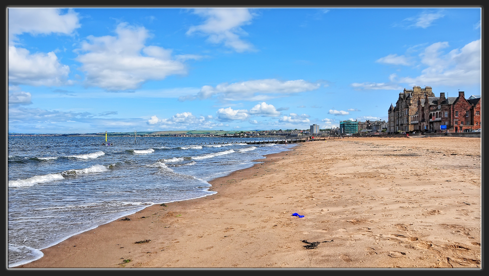 Portobello (2)