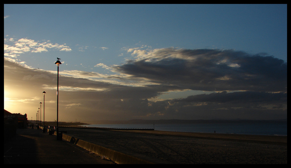 Portobello