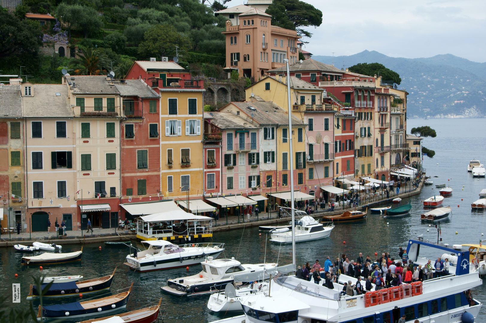 portofino (2)