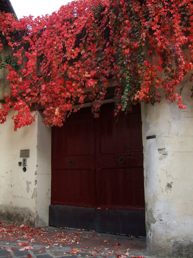 PORTONE ROSSO D'AUTUNNO